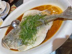 清蒸游水加州鲈鱼-金騰閣·经典粤菜(汾江中路店)