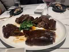 -MR鹅外