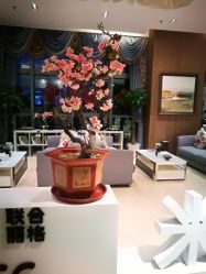 点击看大图 -北京米扬丽格医疗美容·联合丽格鼻整形中心