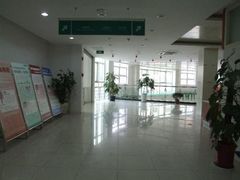 -上海天伦医院