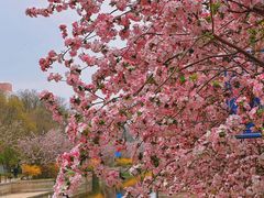 -元大都城垣遗址公园