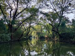 -西溪国家湿地公园