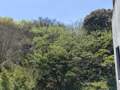 -普陀山慧济禅寺