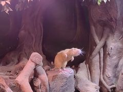 -正佳雨林生态植物园