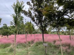 -嘉北郊野公园