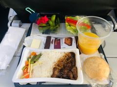 -达拉斯 沃斯堡国际机场