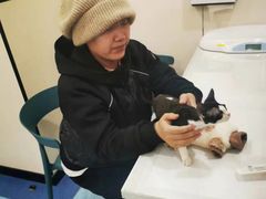 -萌兽医馆·犬猫专科·眼科中心·宠物医院(朝阳门分院)