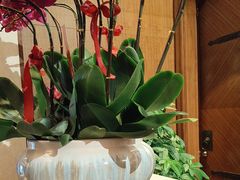 -深圳东部华侨城茵特拉根酒店