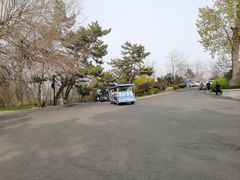 -棒棰岛宾馆景区