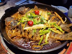 -老板恋上鱼(恒隆广场店)