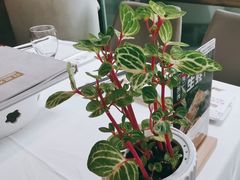 -旺顺阁鱼头泡饼(小红门店)