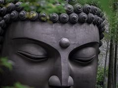 -杭州植物园