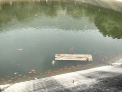 -北京十三陵国家森林公园蟒山景区
