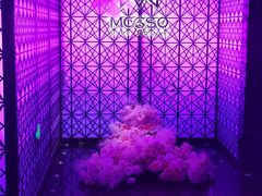 -MOSSO·Liveshow(M3香港广场店)