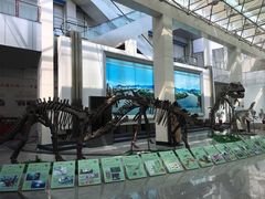 -吉林市博物馆