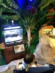 -酷嗒动物文化乐园(cutezoo西溪乐天城店)