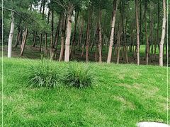 -莫子山公园