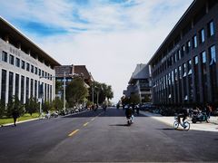 -北京大学百年讲堂