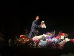 -合肥大剧院