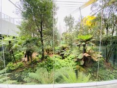 -墨尔本博物馆(Melbourne Museum)
