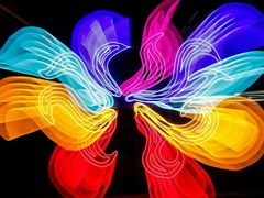 -锦江乐园舞狸花花游园会(夜场专享)