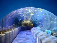 -太平洋海底世界