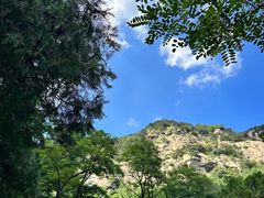 -泰山风景名胜区