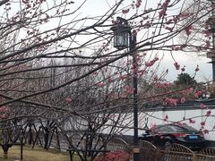 -杭州半山国家森林公园