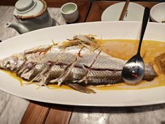 苏帮清蒸白鱼-苏帮袁Sue Cuisine(来福士店)