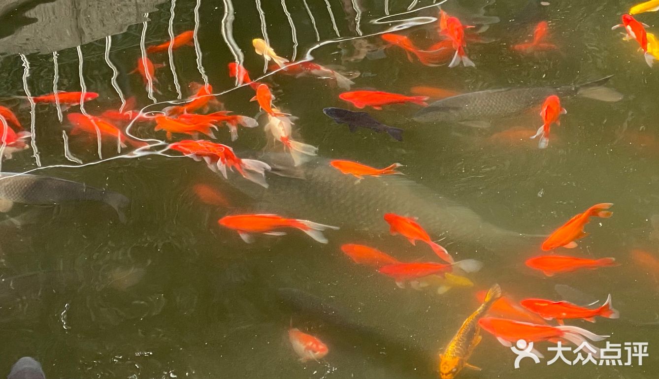 红螺寺｜新年伊始，诸事顺利