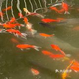 红螺寺｜新年伊始，诸事顺利