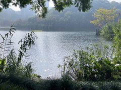 -重庆彩云湖湿地公园