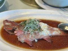 -张生记(丁香国际店)