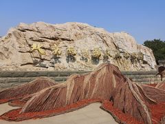 -北京西山国家森林公园