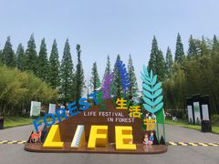 -黄海国家森林公园