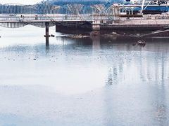 -琴岛之星摩天轮
