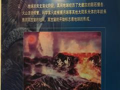 -吉林省自然博物馆