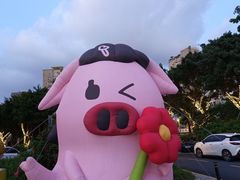 -坂田天虹
