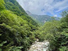 -青峰峡国家森林公园