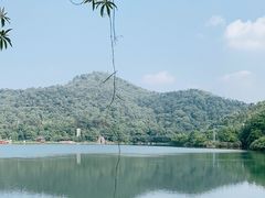 -石燕湖生态旅游景区