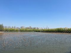 -孙家面馆(淮海第一城店)