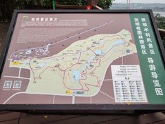 景点-张坝桂圆林公园