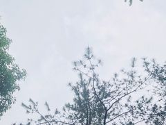 -天目湖涵田半山温泉