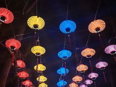 -长春市南湖公园