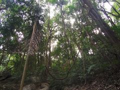 -天鹿湖森林公园