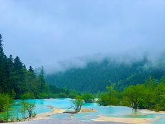 -黄龙山原始森林景区