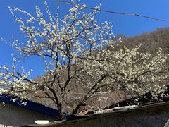 -水峪民俗村