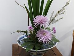 -共青国家森林公园-售票处
