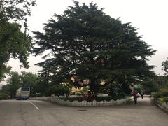 -青岛德国总督楼旧址博物馆