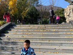 -北京鹫峰国家森林公园